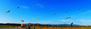 2014-10-26_00.04.21