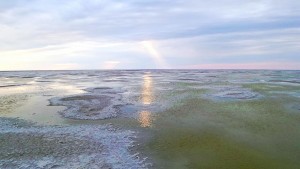 2015-06-05_17.30.44